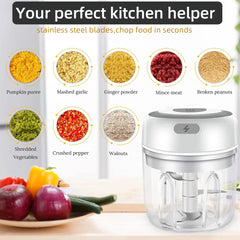 Portable Electric Food Chopper