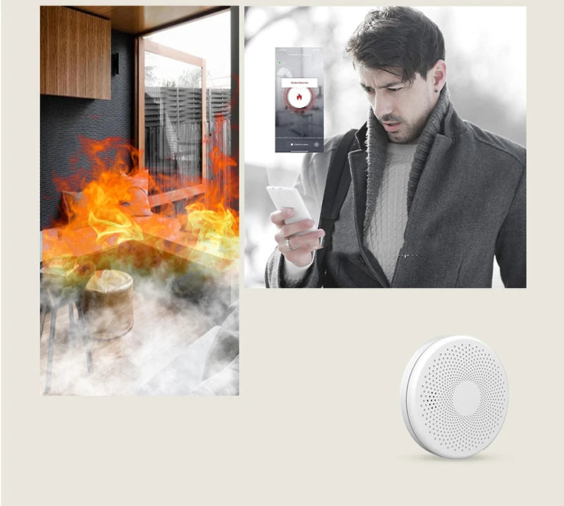 2 in 1 Version WiFi Tuya Smart Co & Smoke Detector Alarm Carbon Monoxide Parlor Room Kitchen Shop Fire PIR Sound Sensor Alert